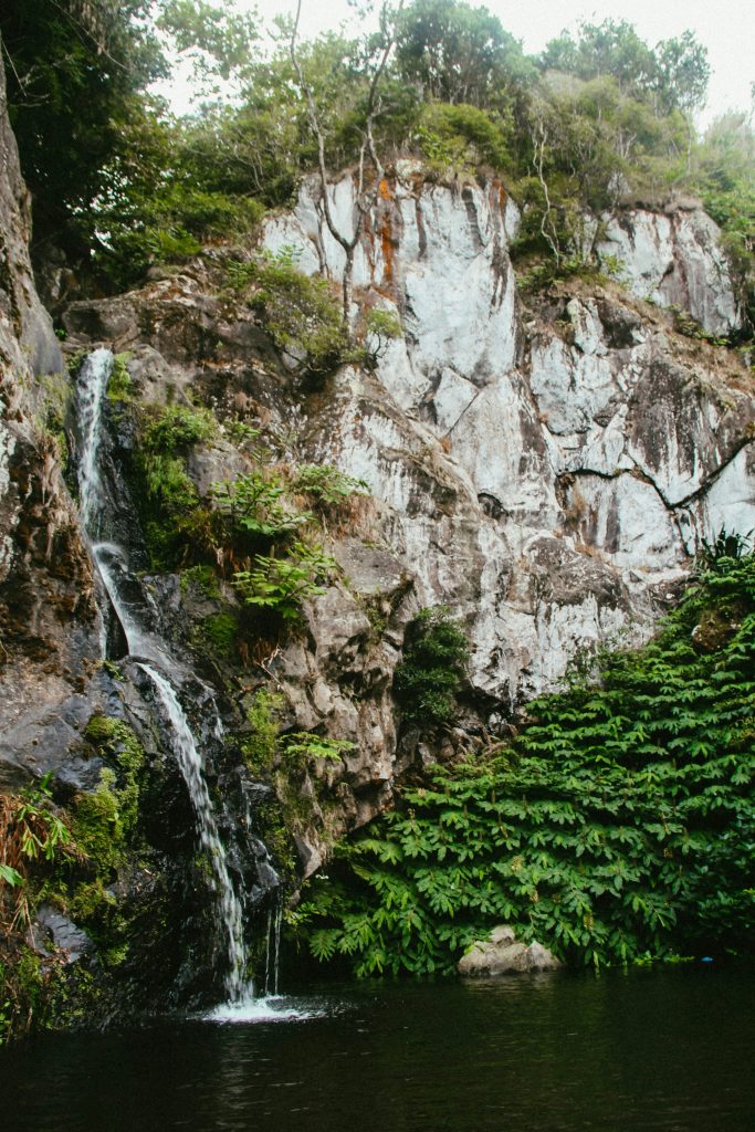 Beitragsbild von Hallo Welt